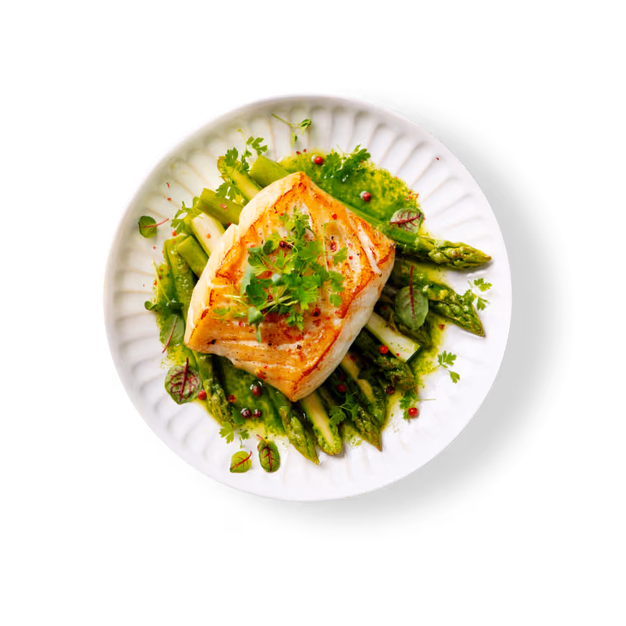 Salmon